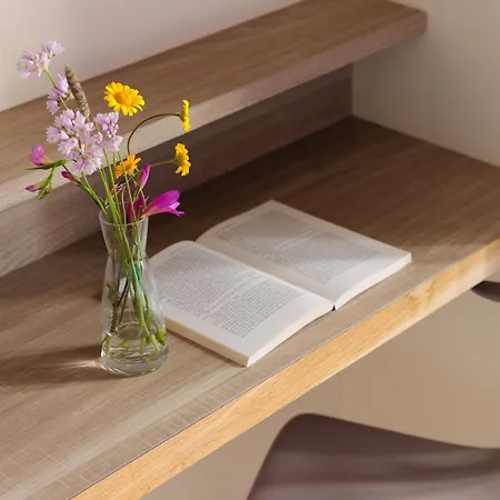 酒店 尼娜酒店 3*